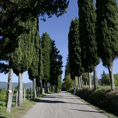 Azienda Agricola Il Chiuso Vicchio