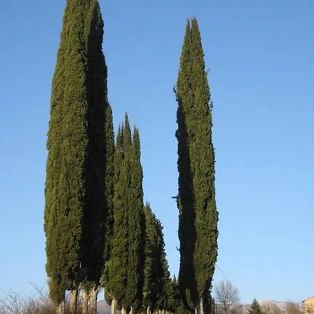 Azienda Agricola Il Chiuso Farm stay Vicchio