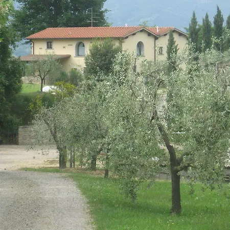 Azienda Agricola Il Chiuso